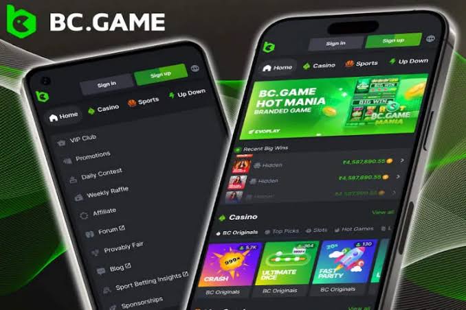 Understanding the Terms & Conditions of BC.Game A Comprehensive Guide